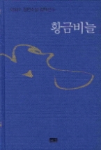 황금비늘(이외수 장편소설 컬렉션 5)